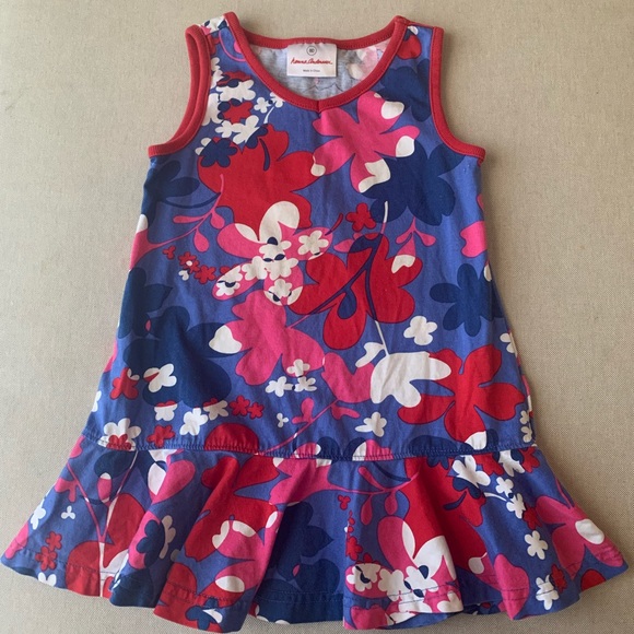 GUC✨Floral Hanna Andersson Dress | 2 - Picture 4 of 9